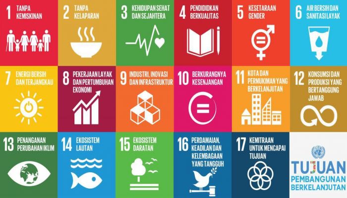 SOSIALISASI DAN PEMBENTUKAN POKJA TIM PENDATAAN SDGs DESA 01