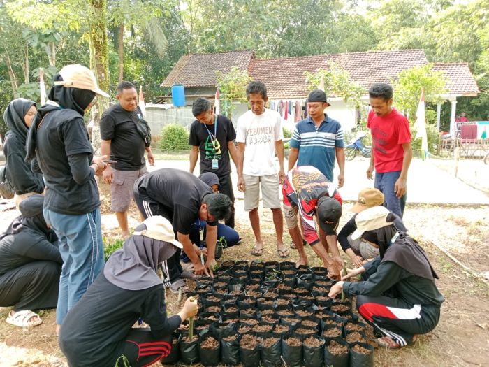 PENANAMAN BIBIT CABAI DAN TERONG BERSAMA KELOMPOK TANI PETESARI 01