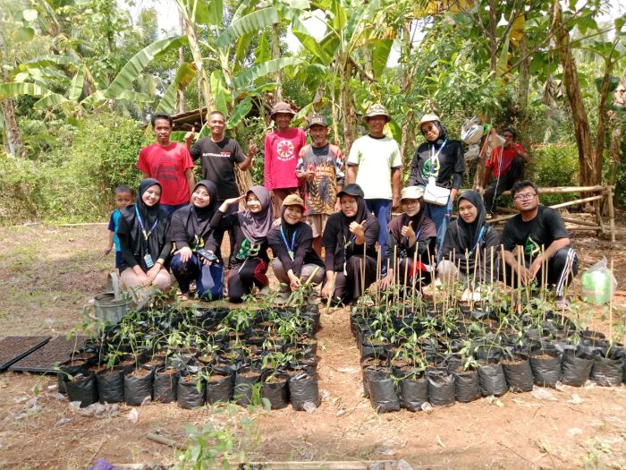 PENANAMAN BIBIT CABAI DAN TERONG BERSAMA KELOMPOK TANI PETESARI